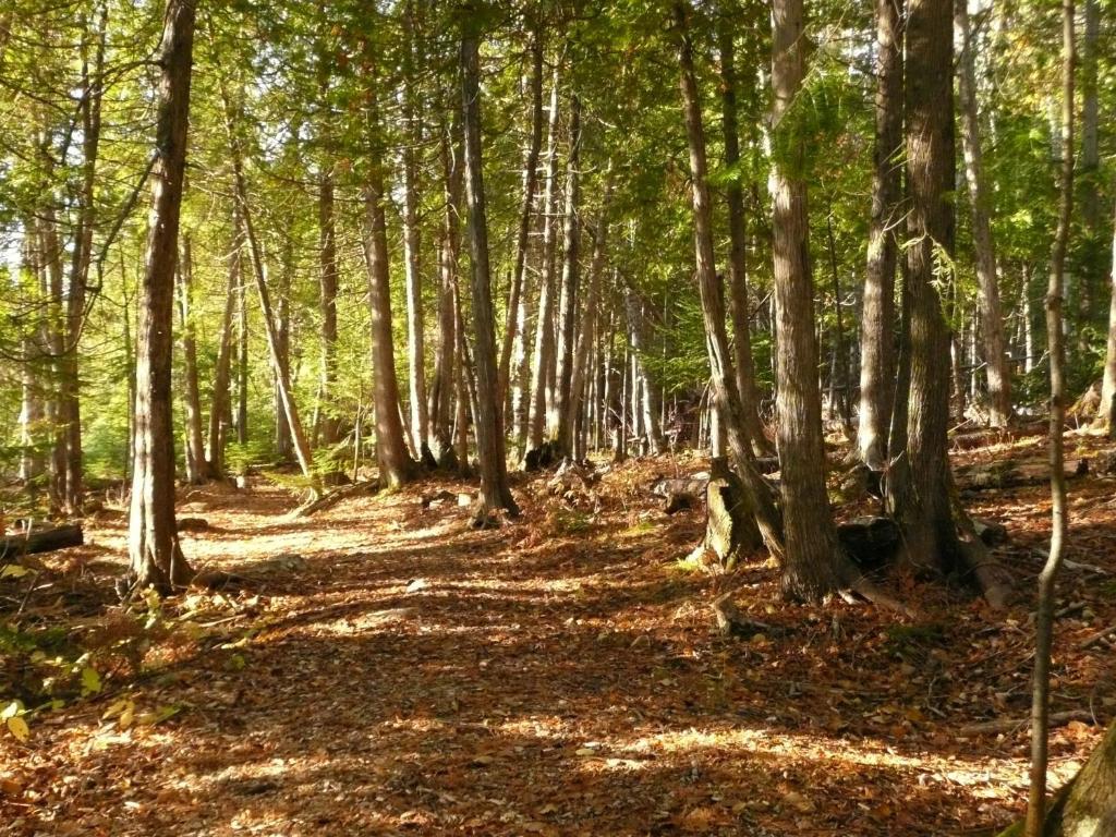 Kan-A-Mouche Pourvoirie Auberge Et Chalets Сен-Мишель-де-Сен Экстерьер фото